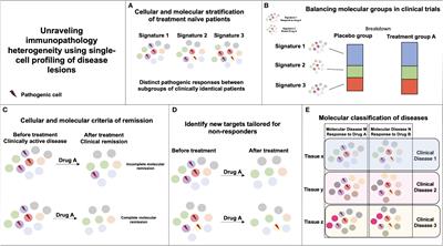 Single-cell profiling to transform immunotherapy usage and target discovery in immune-mediated inflammatory diseases